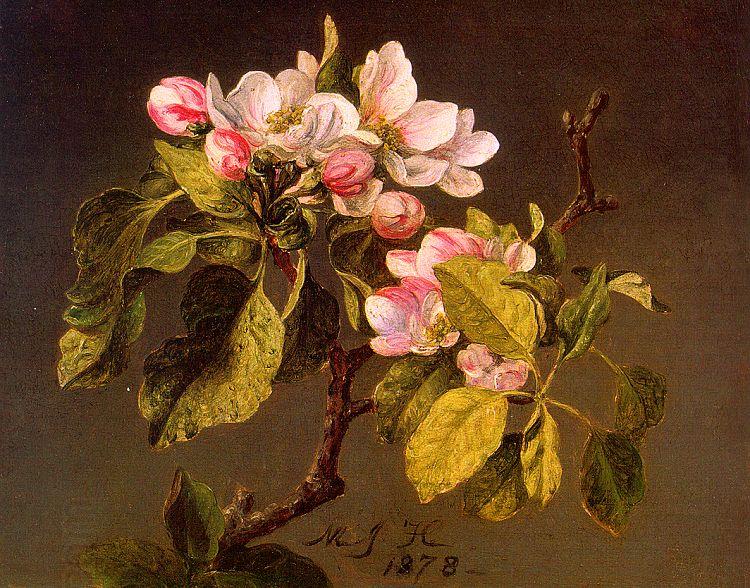 Martin Johnson Heade Apple Blossoms oil painting picture